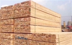 张家港木材市场有哪几个?